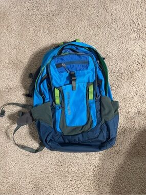 Patagonia Blue Multi-Compartment Backpack